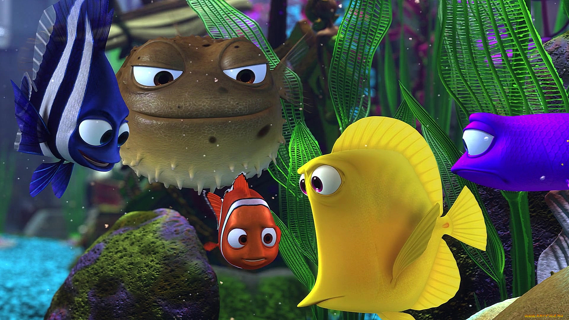 мультфильмы, finding, nemo, рыба, водоросли, много