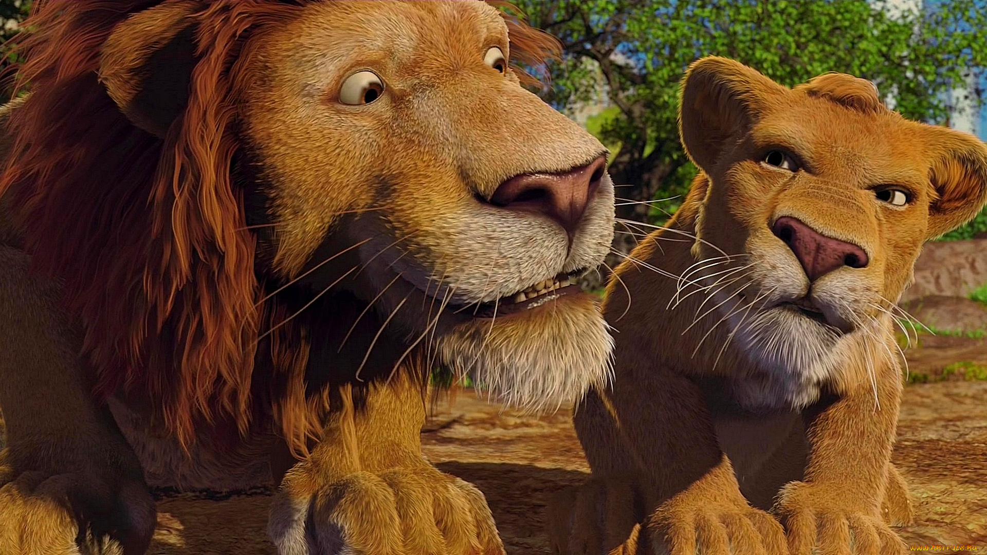 мультфильмы, the, wild, львенок, лев, растения, двое