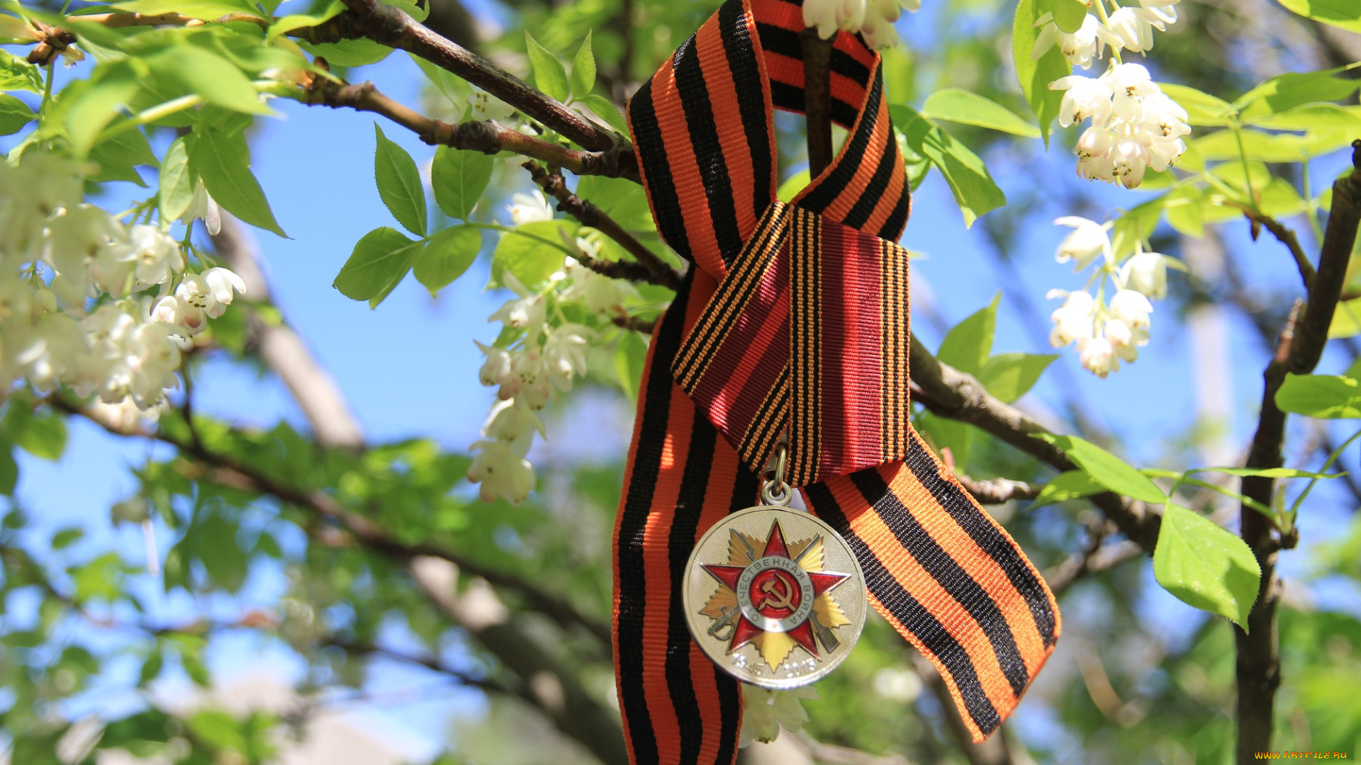 праздничные, день, победы, цветы, 9, мая, память, праздник, победа, счастье, радость