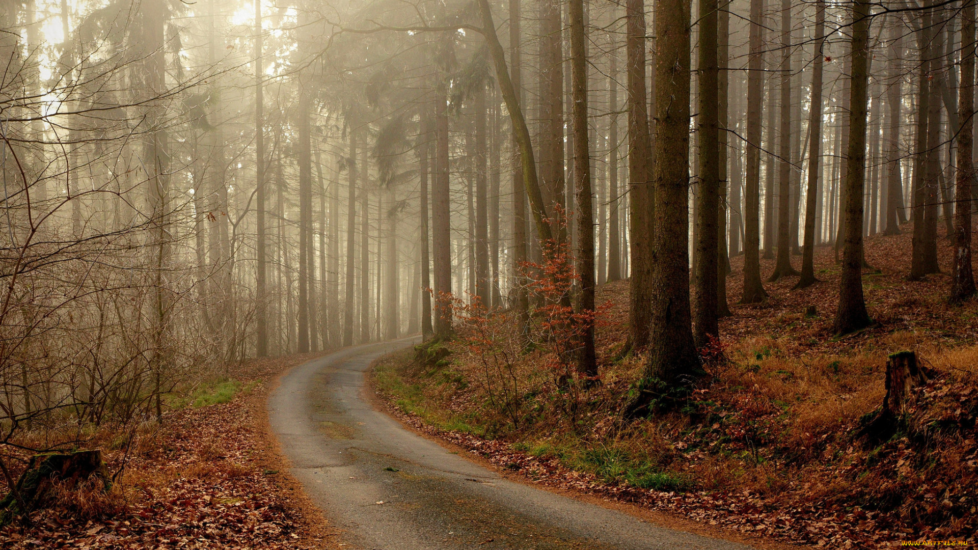 природа, дороги, простор