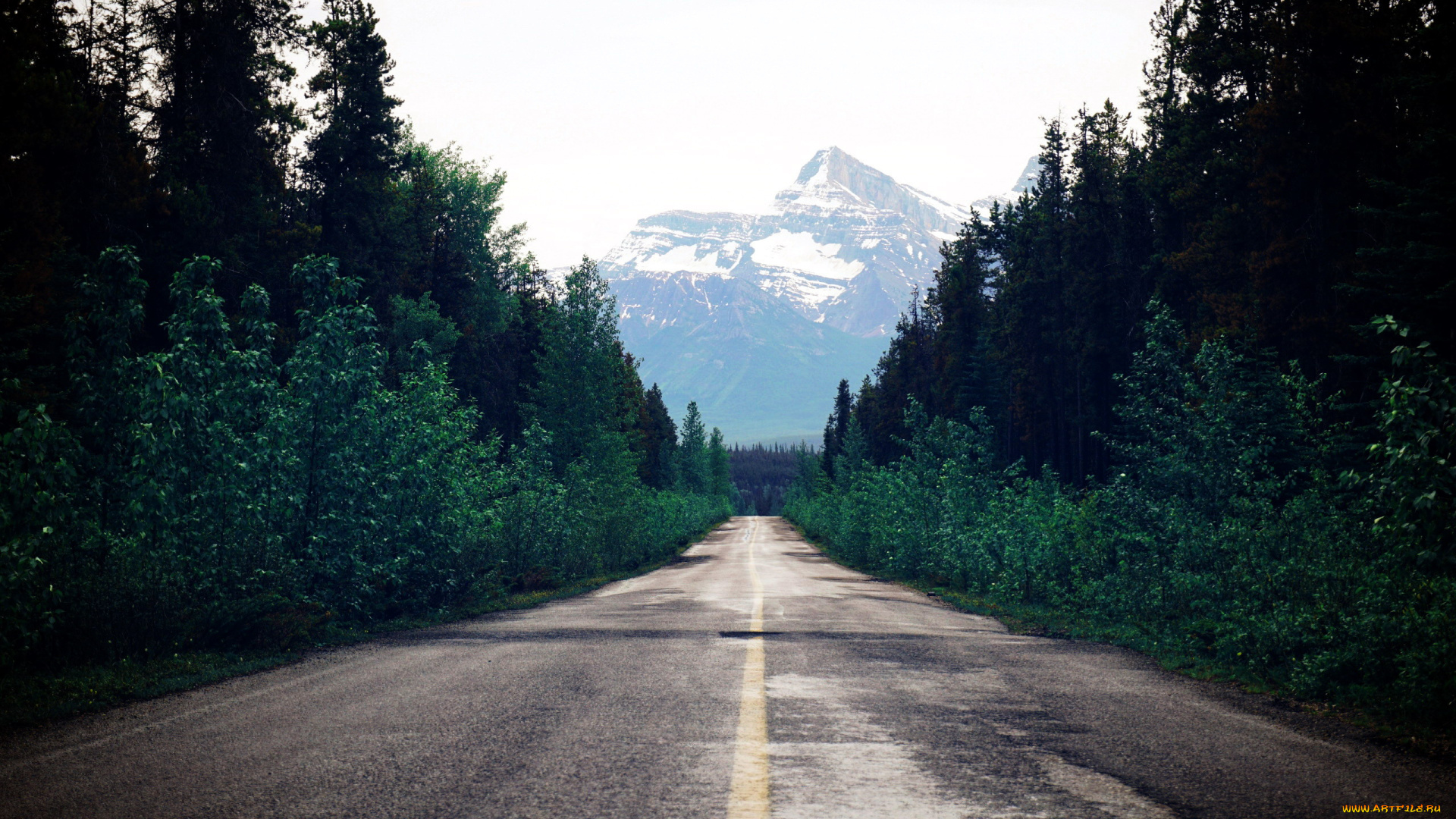 природа, дороги, шоссе