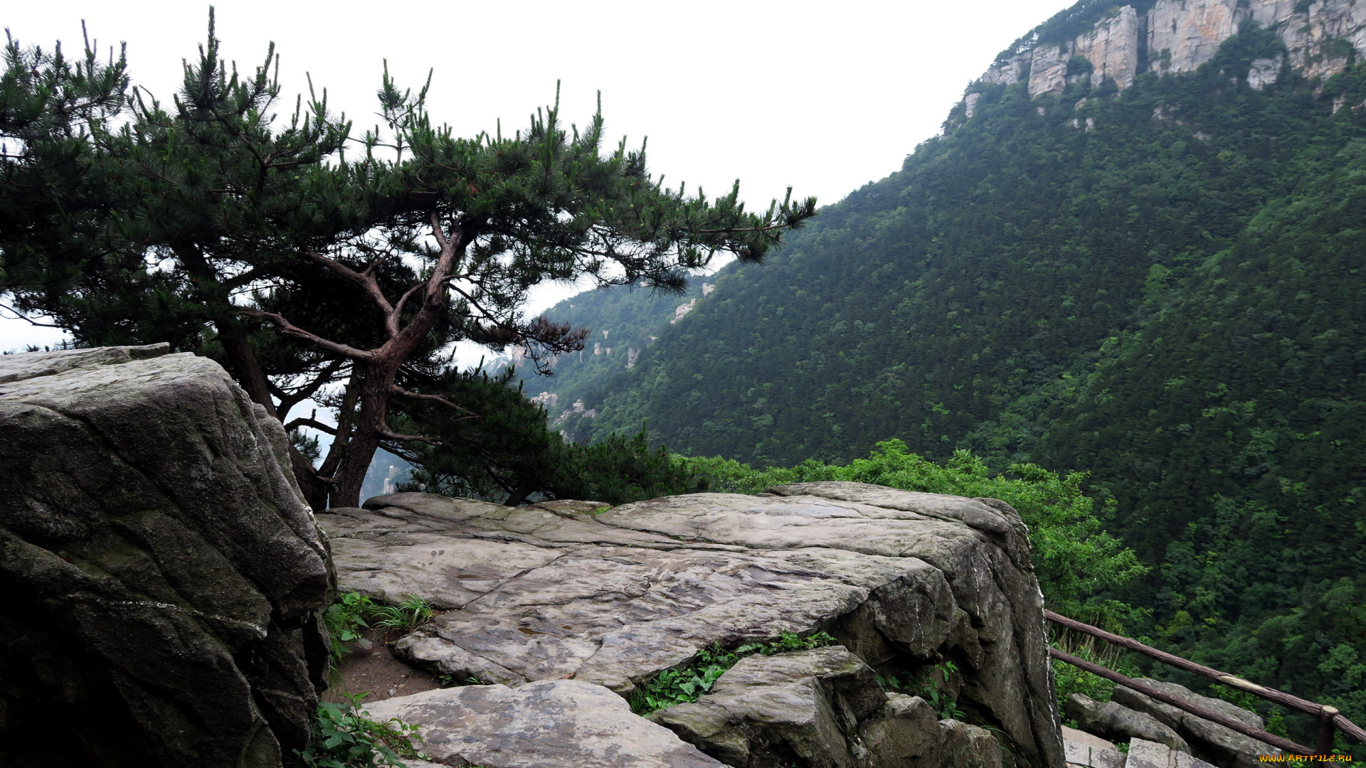 природа, горы, дерево, скала