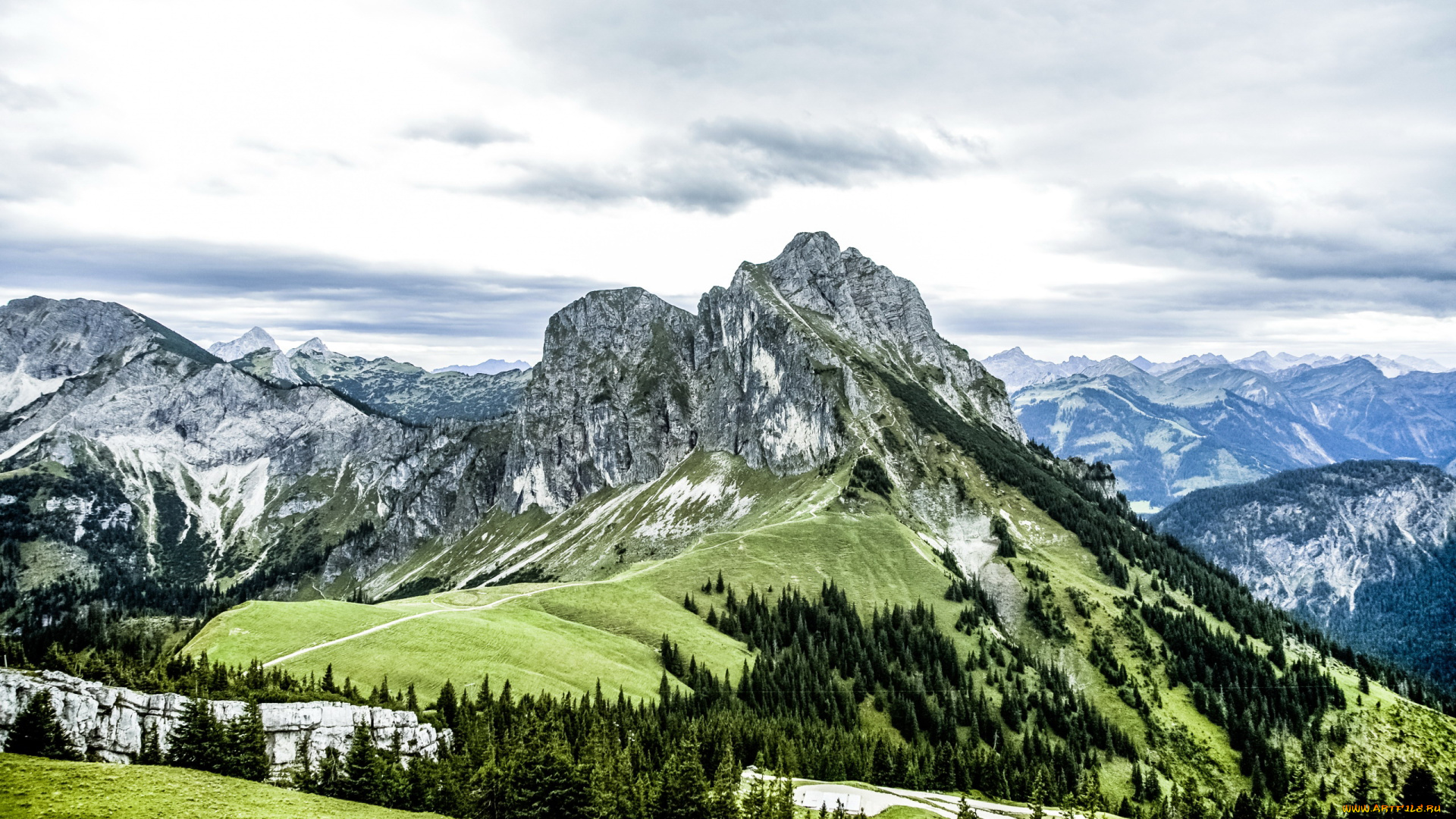 природа, горы, деревья, вершины