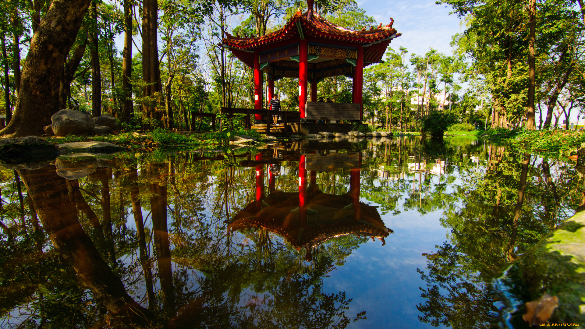 природа, парк