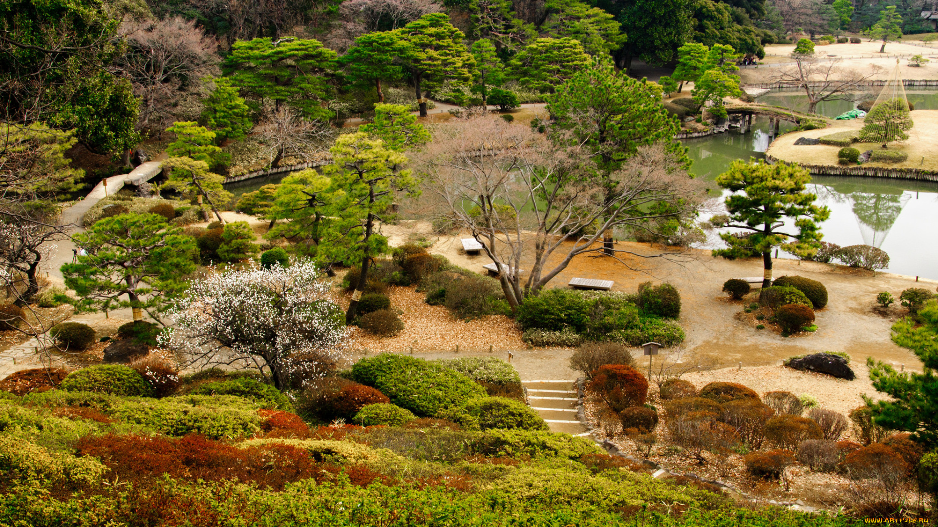 природа, парк