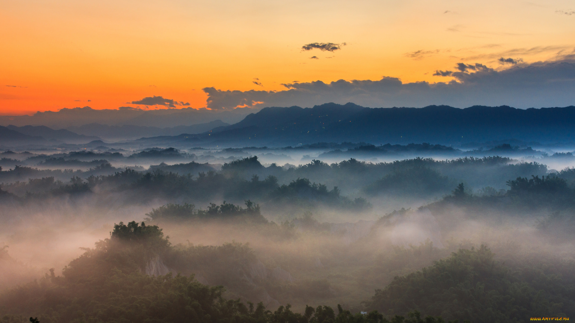 природа, пейзажи, утро