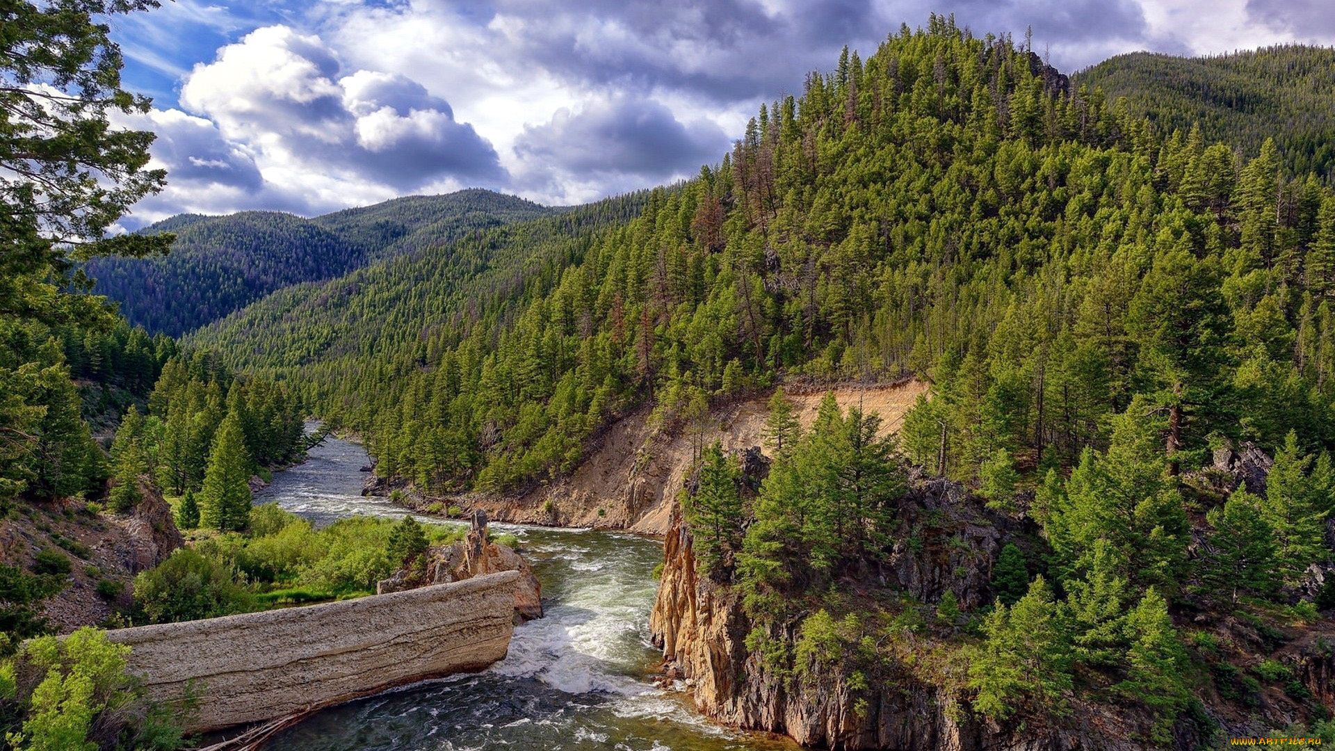природа, реки, озера, деревья, река