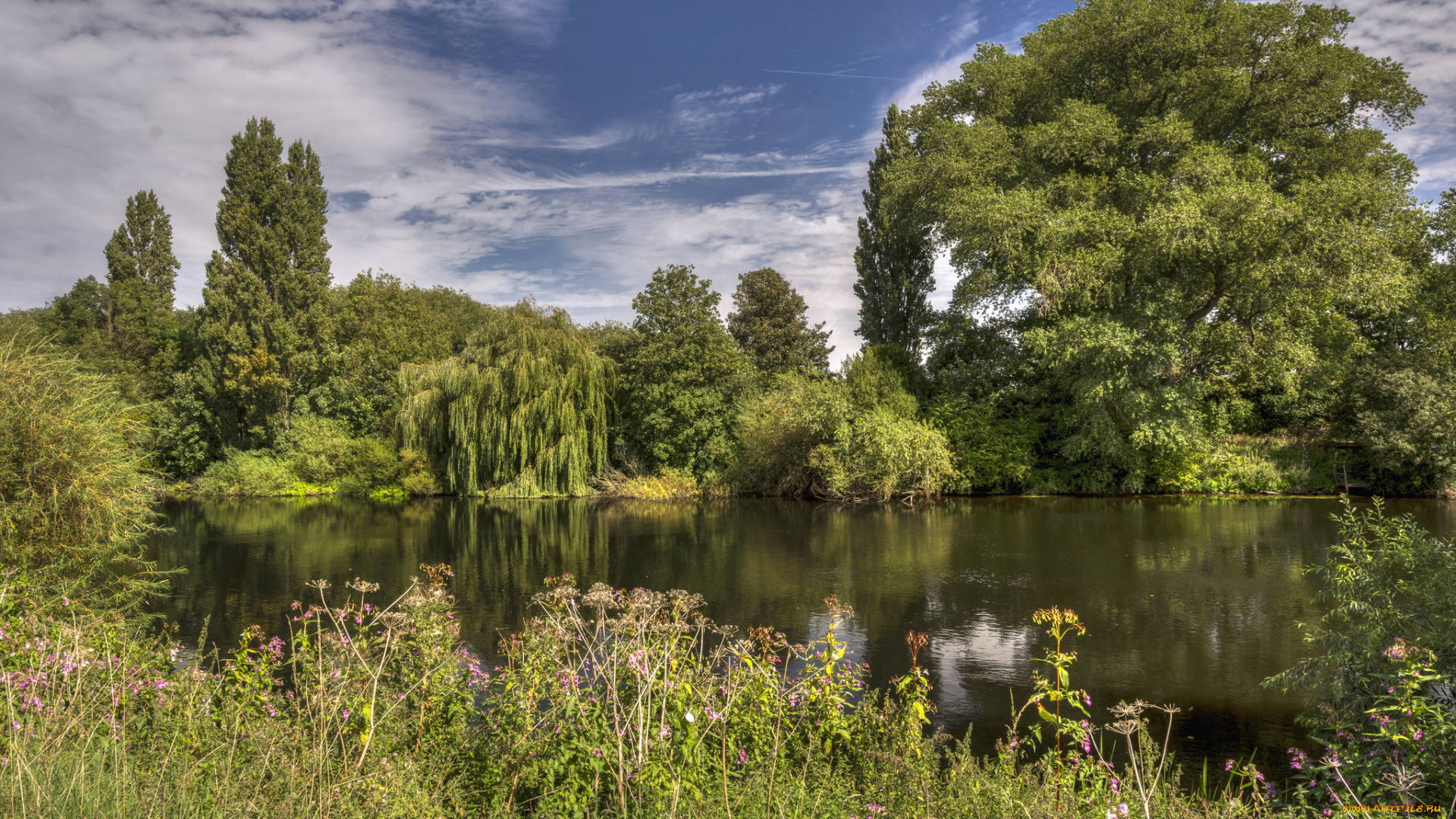 природа, реки, озера, пейзаж