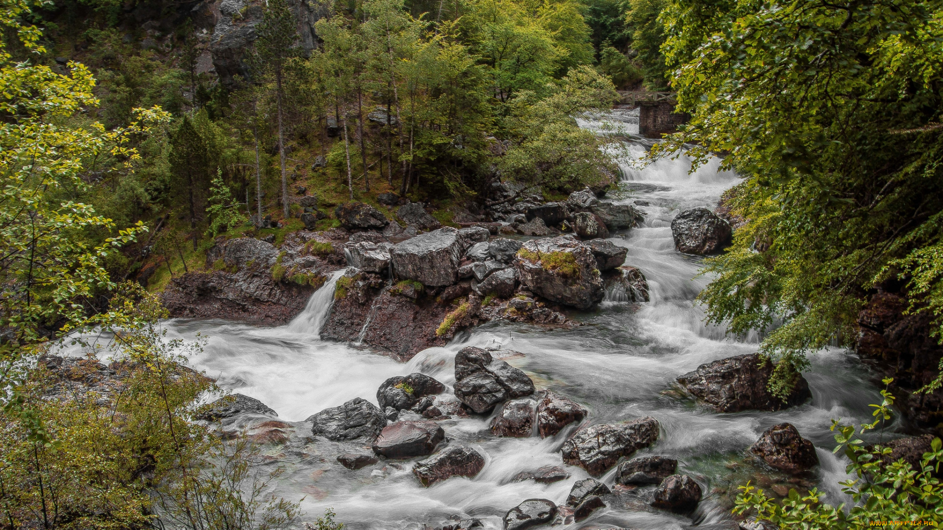 природа, реки, озера, простор