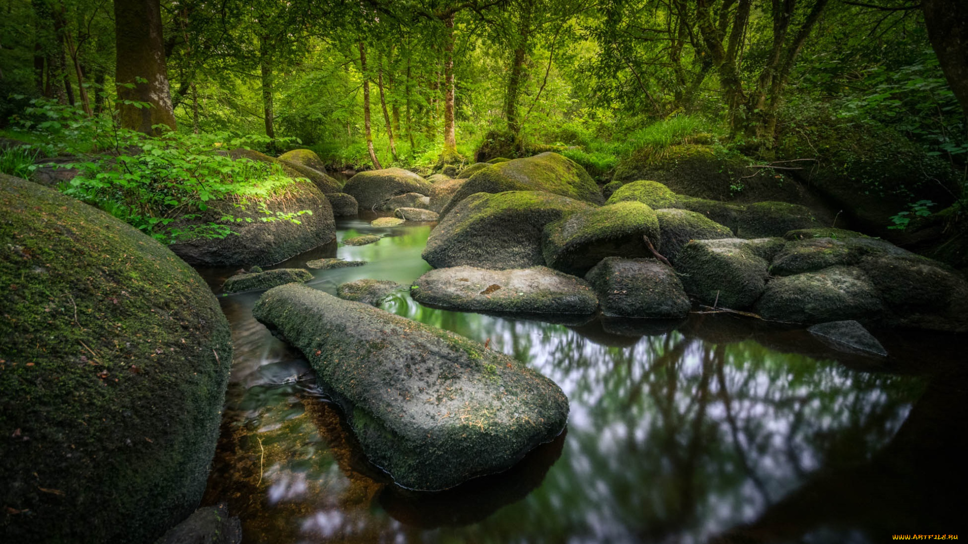 природа, реки, озера, простор