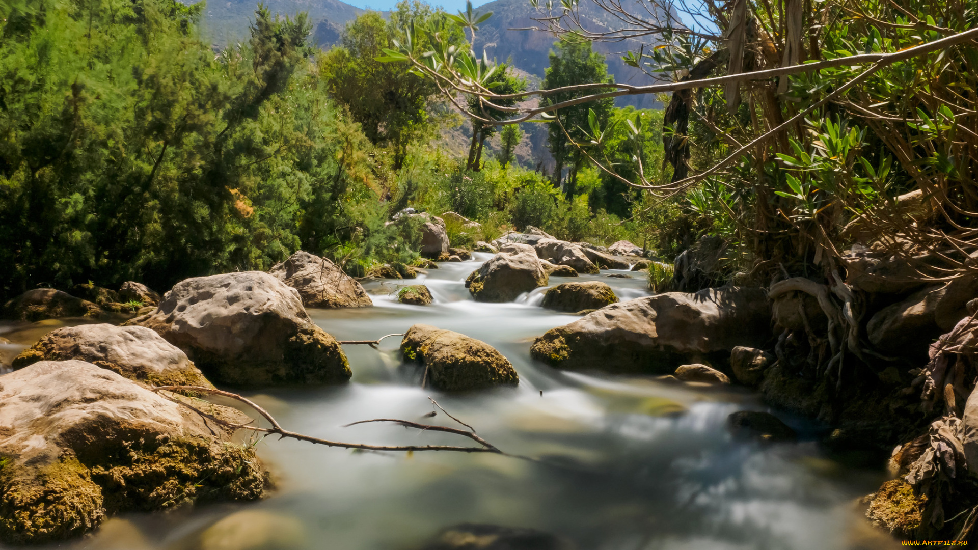 природа, реки, озера, простор