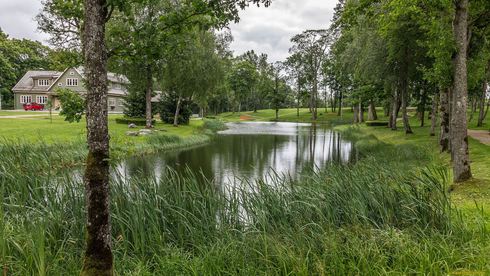 природа, реки, озера, простор