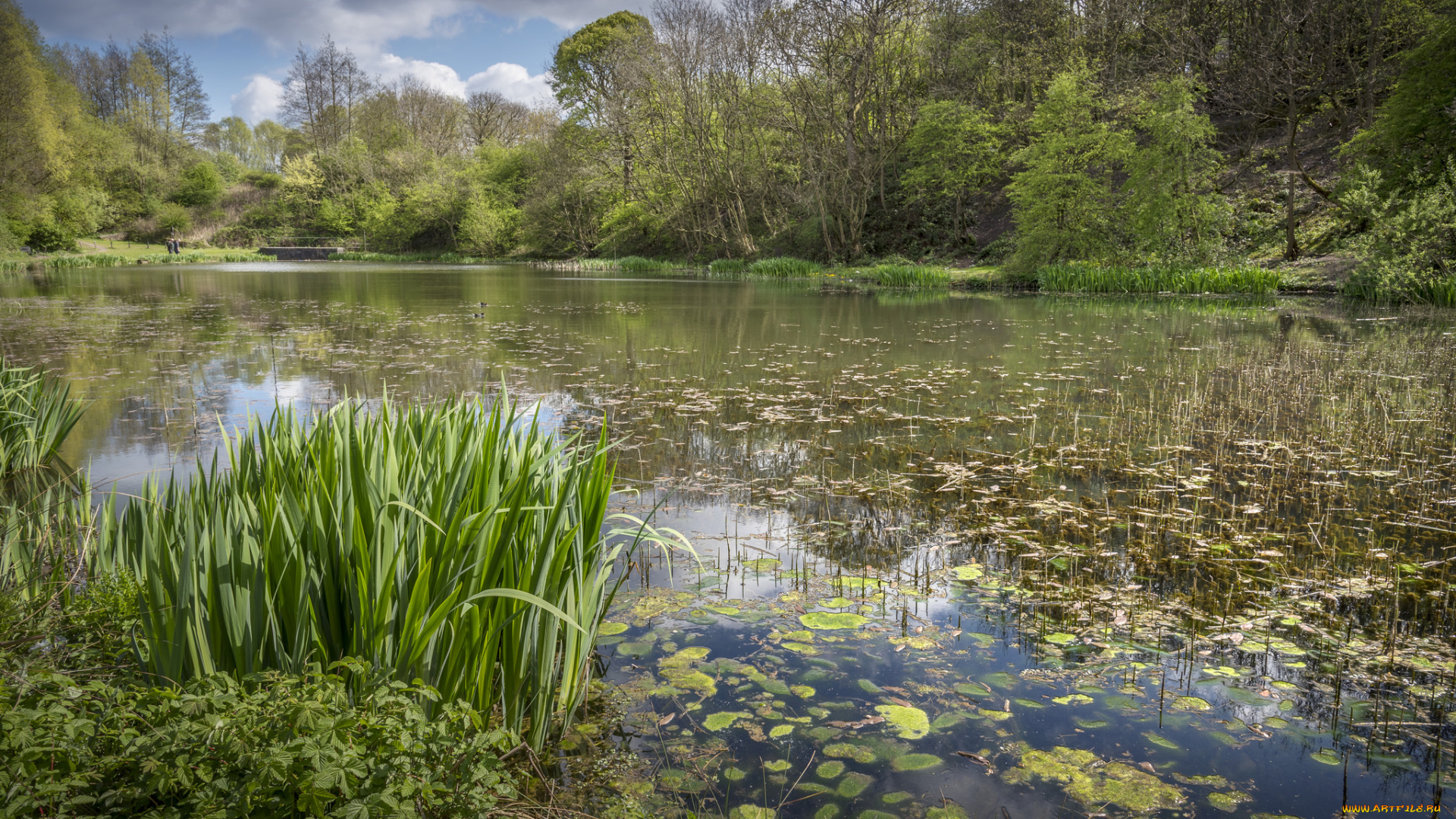 природа, реки, озера, простор