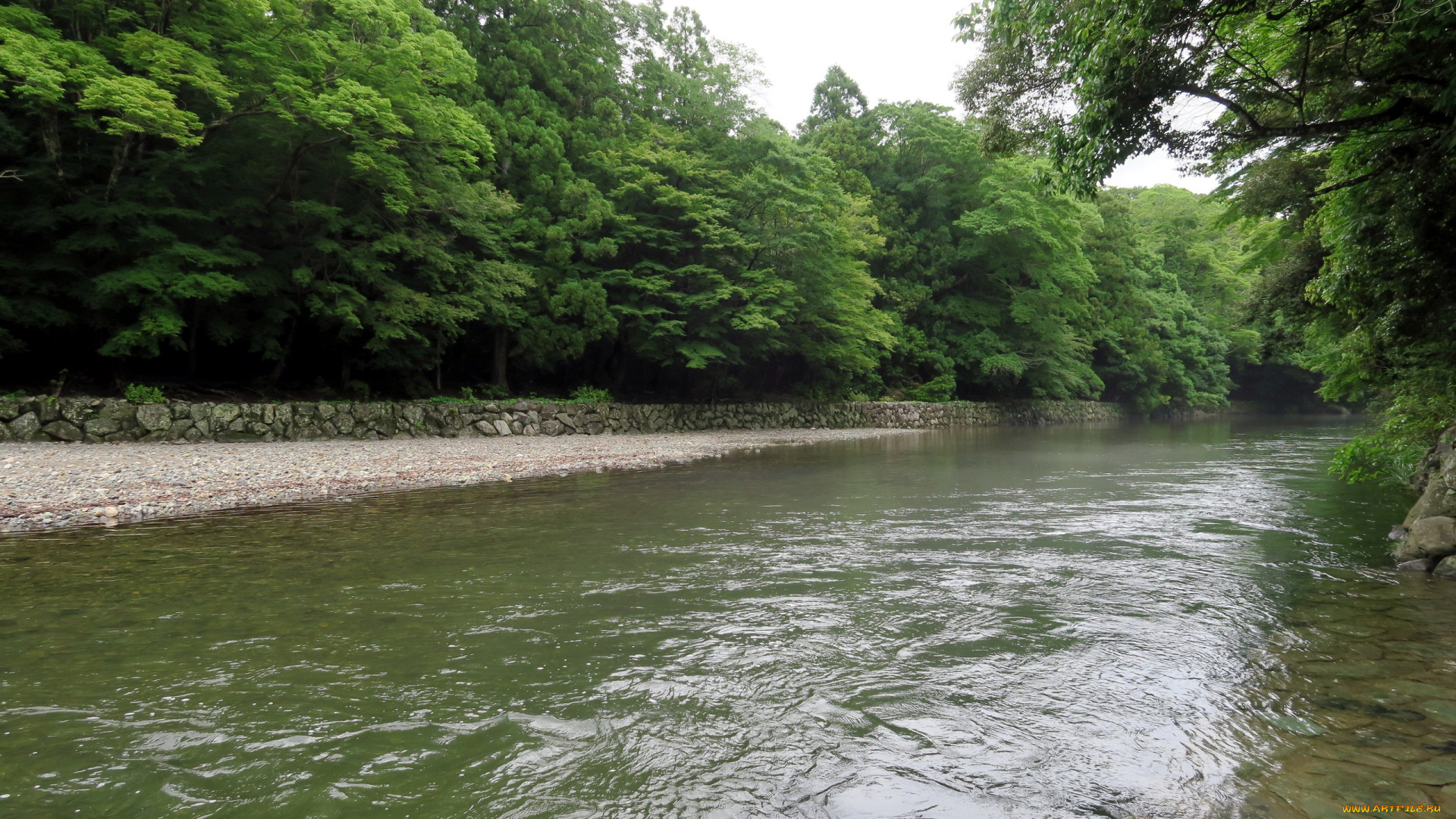 природа, реки, озера, река