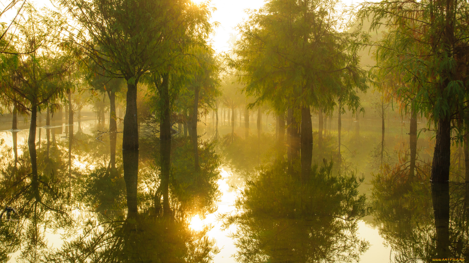 природа, реки, озера, утро