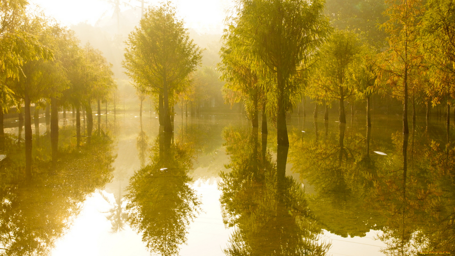 природа, реки, озера, вода