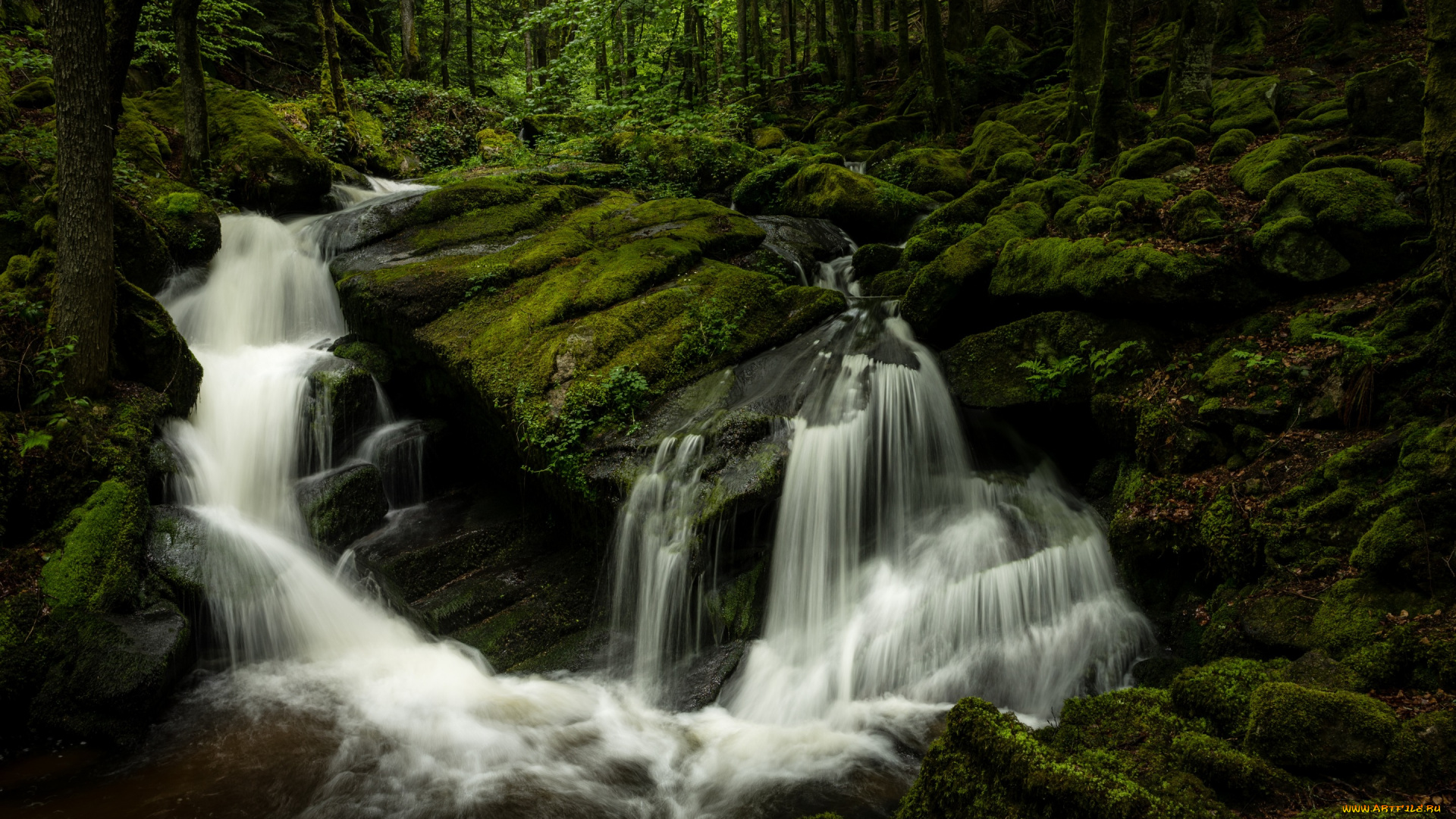 природа, водопады, каскад, мох, водопад