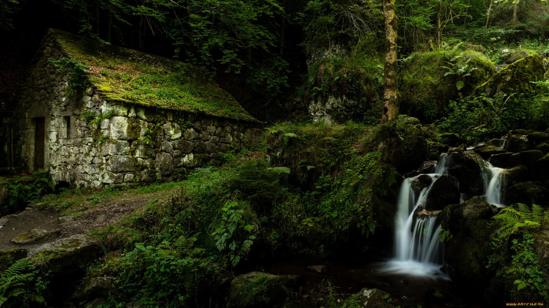 природа, водопады, лес, ручей, дом