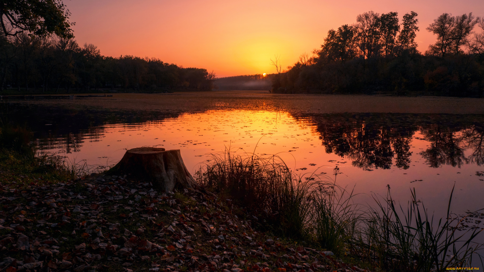природа, восходы, закаты, простор