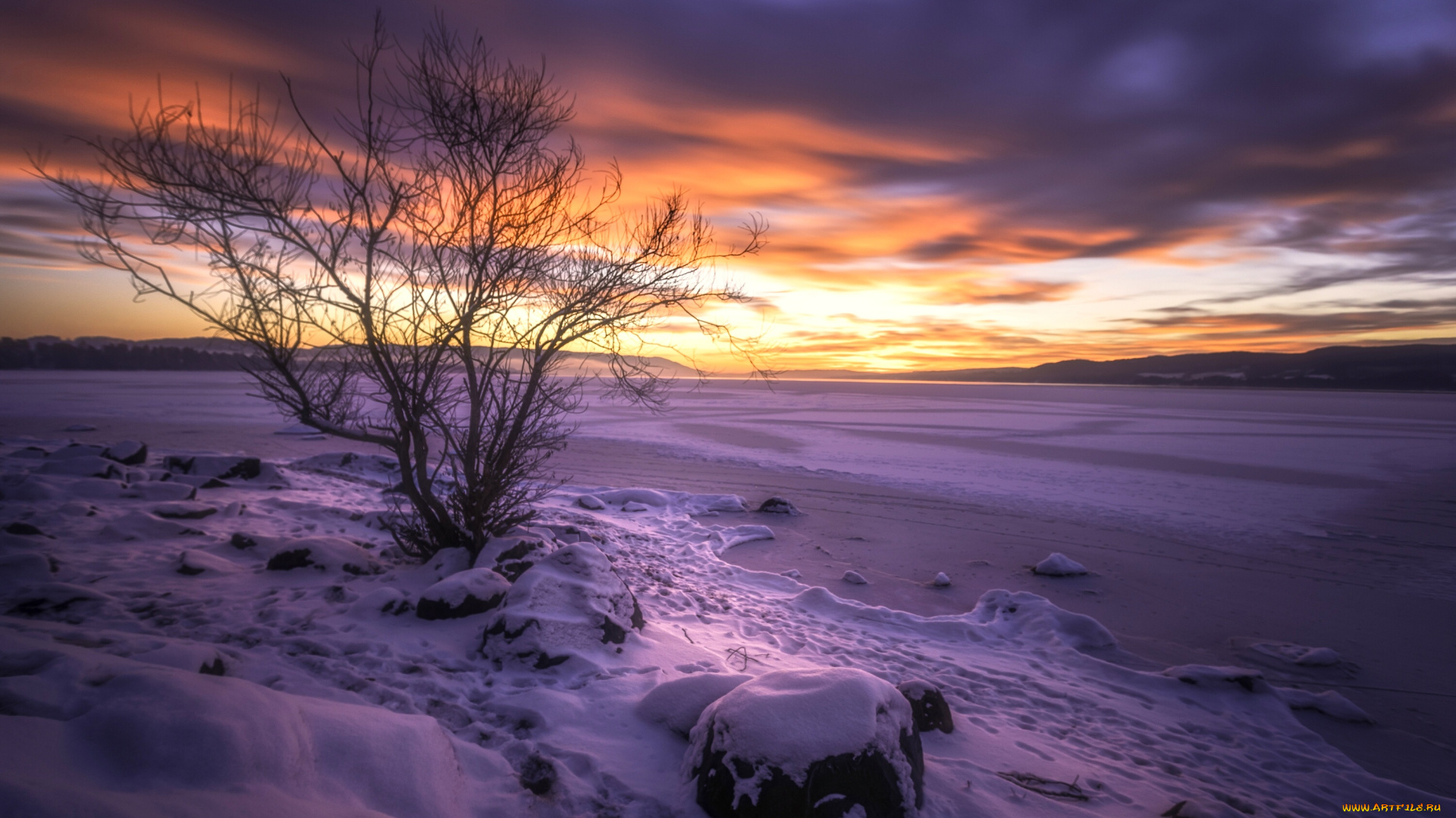 природа, восходы, закаты, закат, снег, озеро, дерево, зима