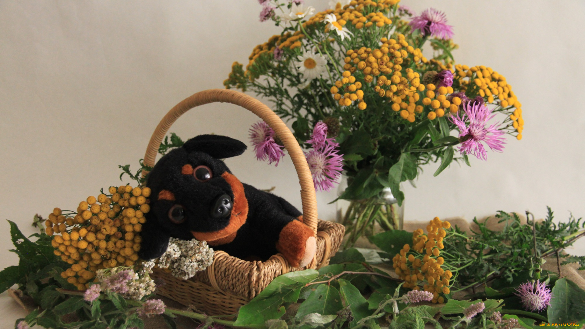 разное, игрушки, цветы, собака, букет, грибы, игрушка