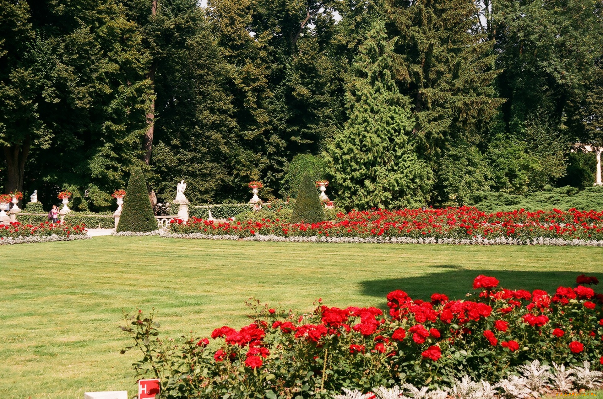 природа, парк, лето, цветы, лужайка, клумбы