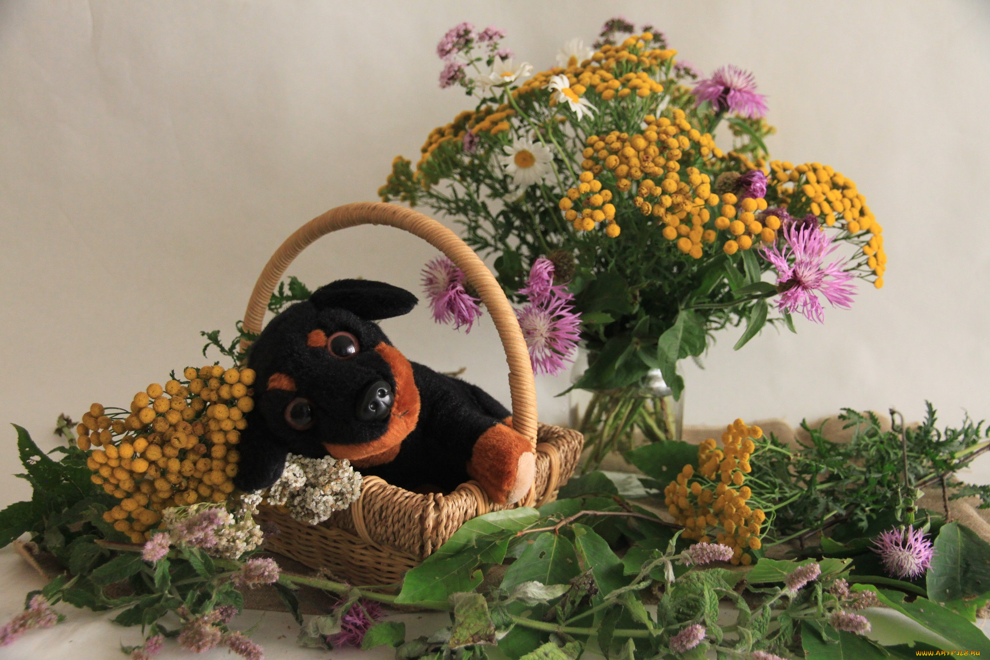 разное, игрушки, цветы, собака, букет, грибы, игрушка