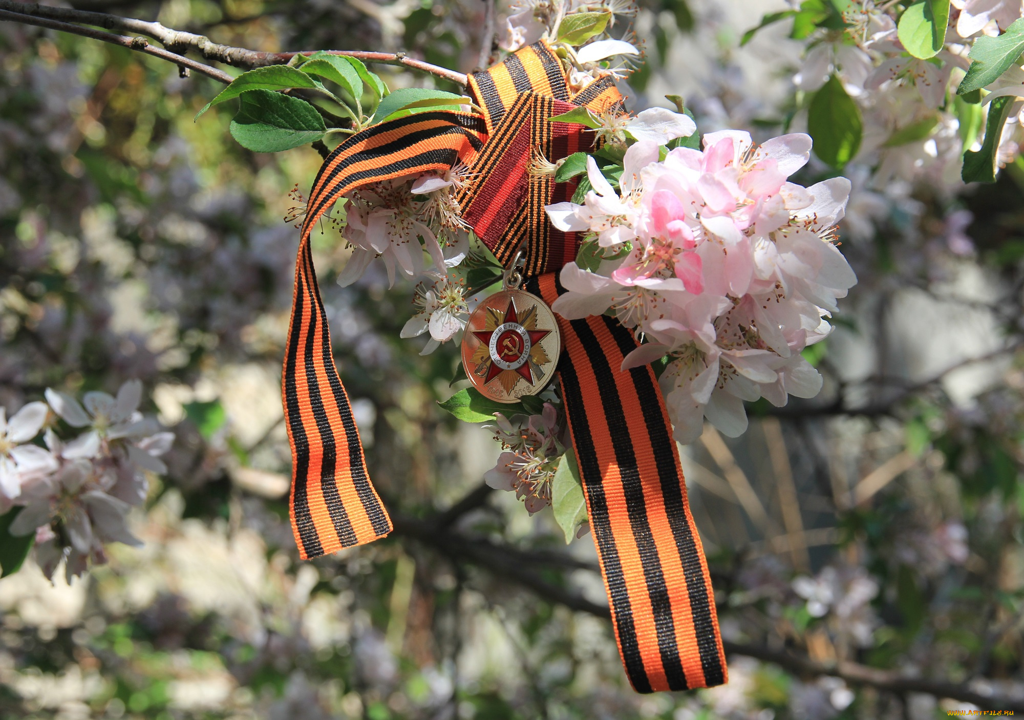 праздничные, день, победы, цветы, победа, праздник, счастье, радость, 9, мая, память