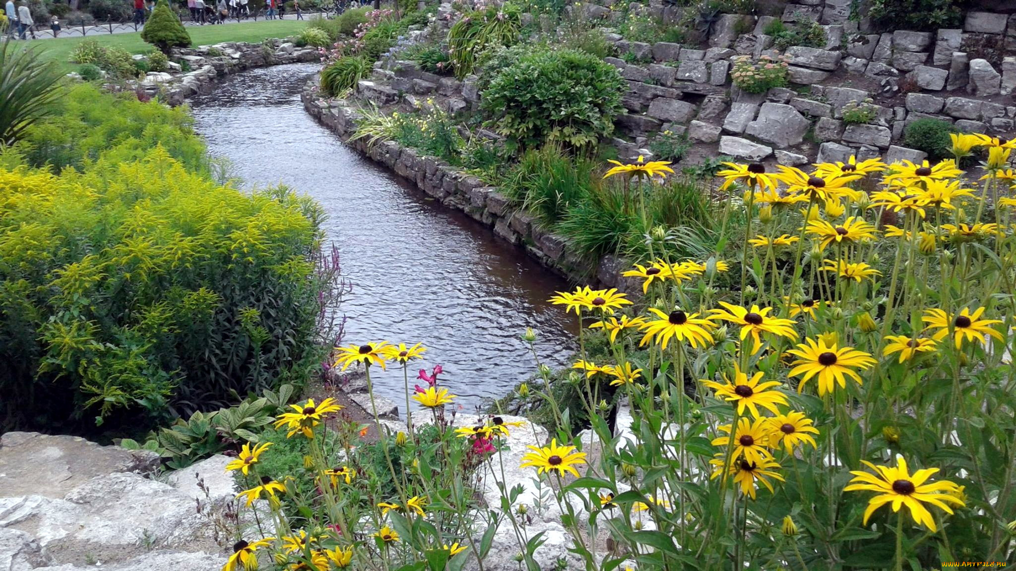 природа, парк, водоем, цветы, камни