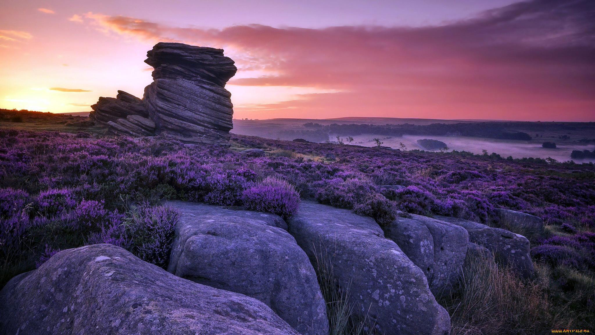 природа, восходы, закаты, закат, вереск, камни