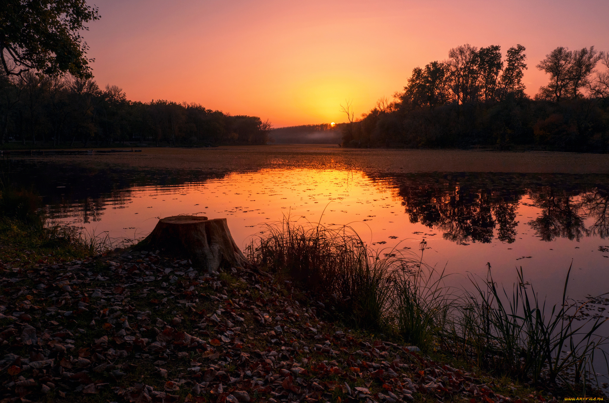 природа, восходы, закаты, простор