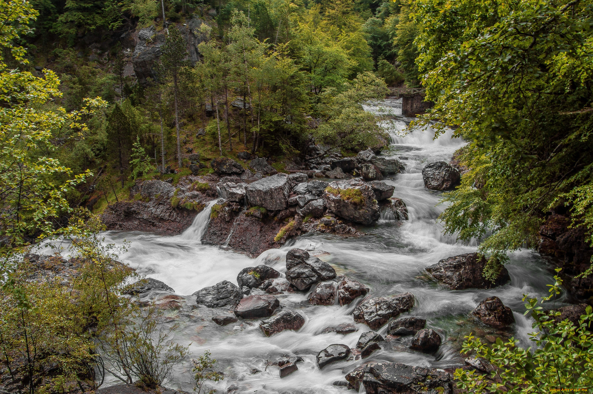 природа, реки, озера, простор