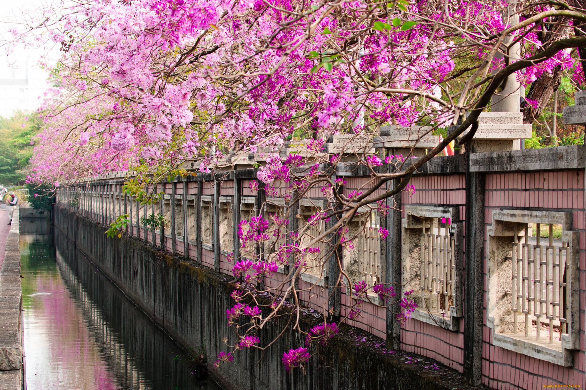 города, -, улицы, , площади, , набережные, парк