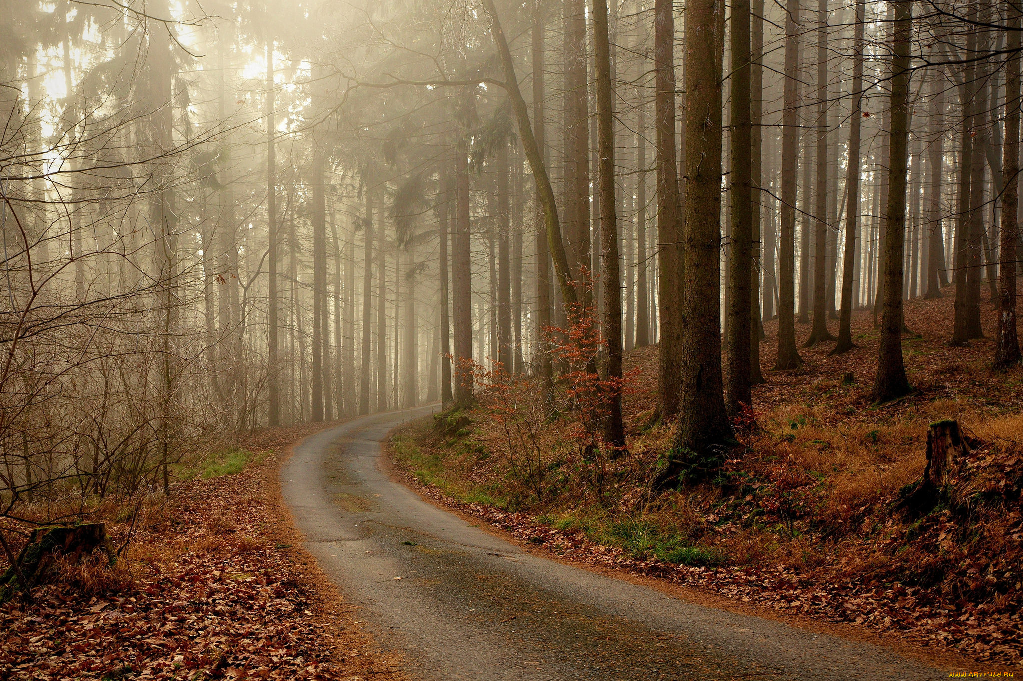 природа, дороги, простор