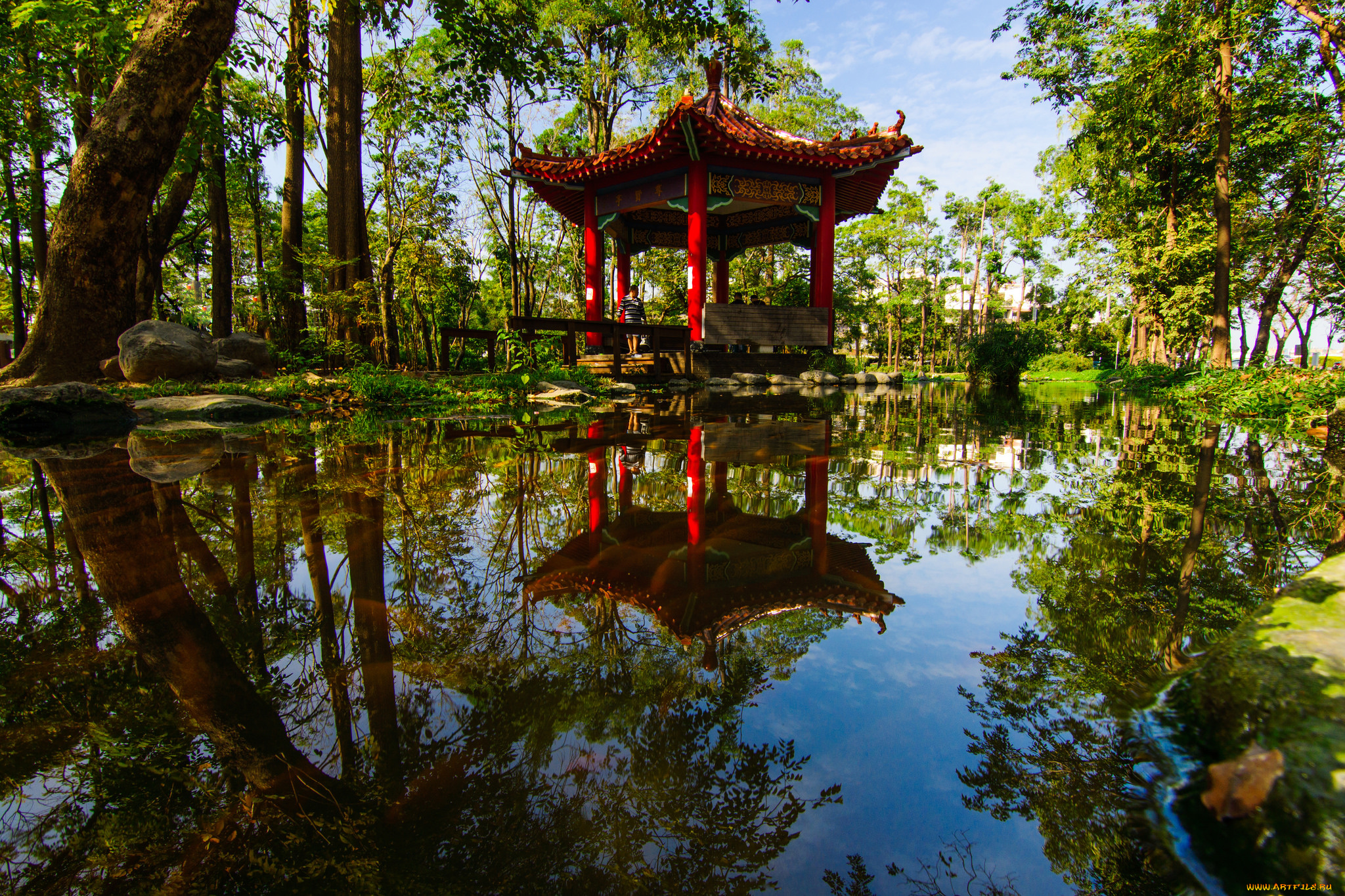 природа, парк