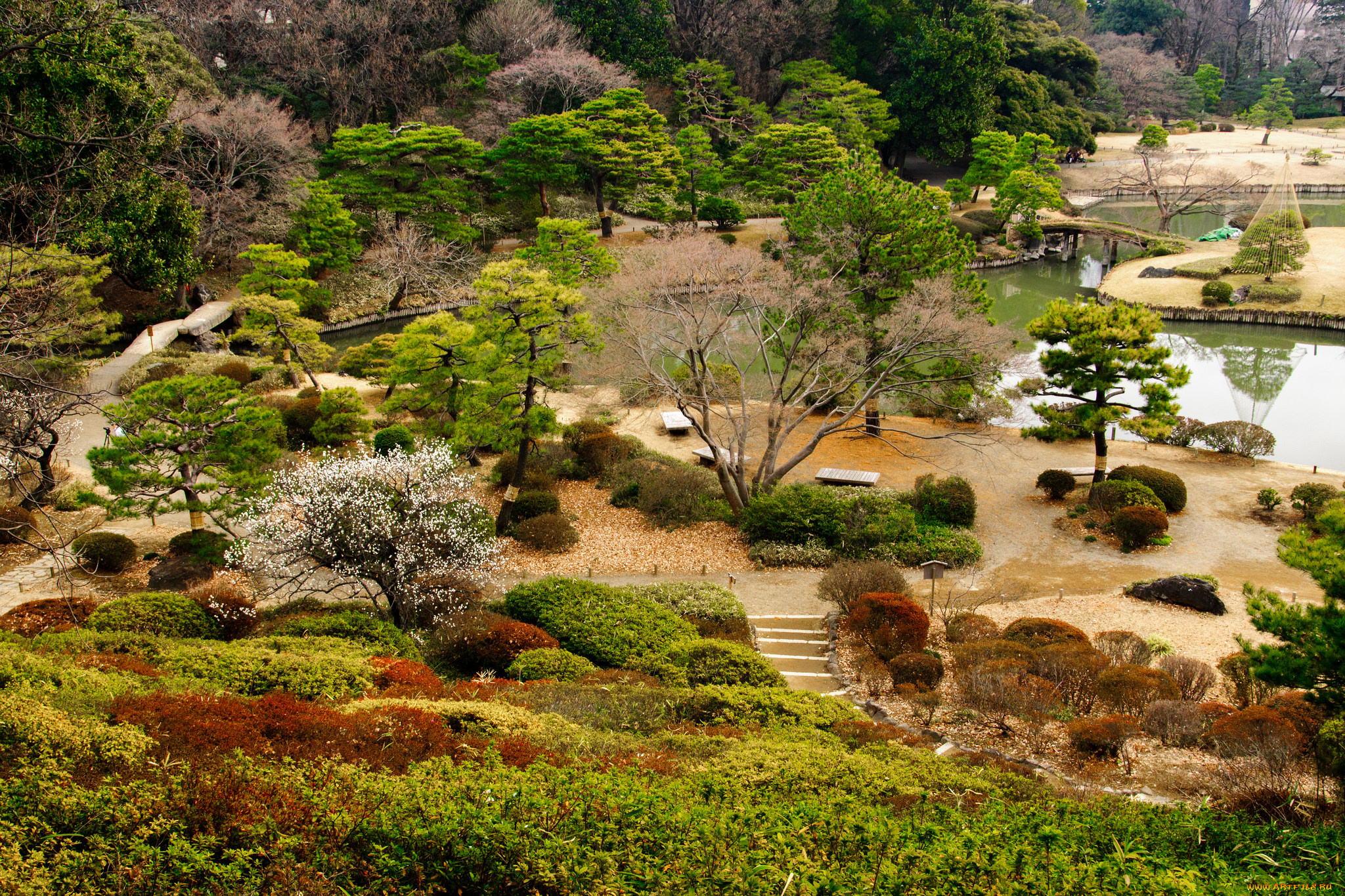 природа, парк