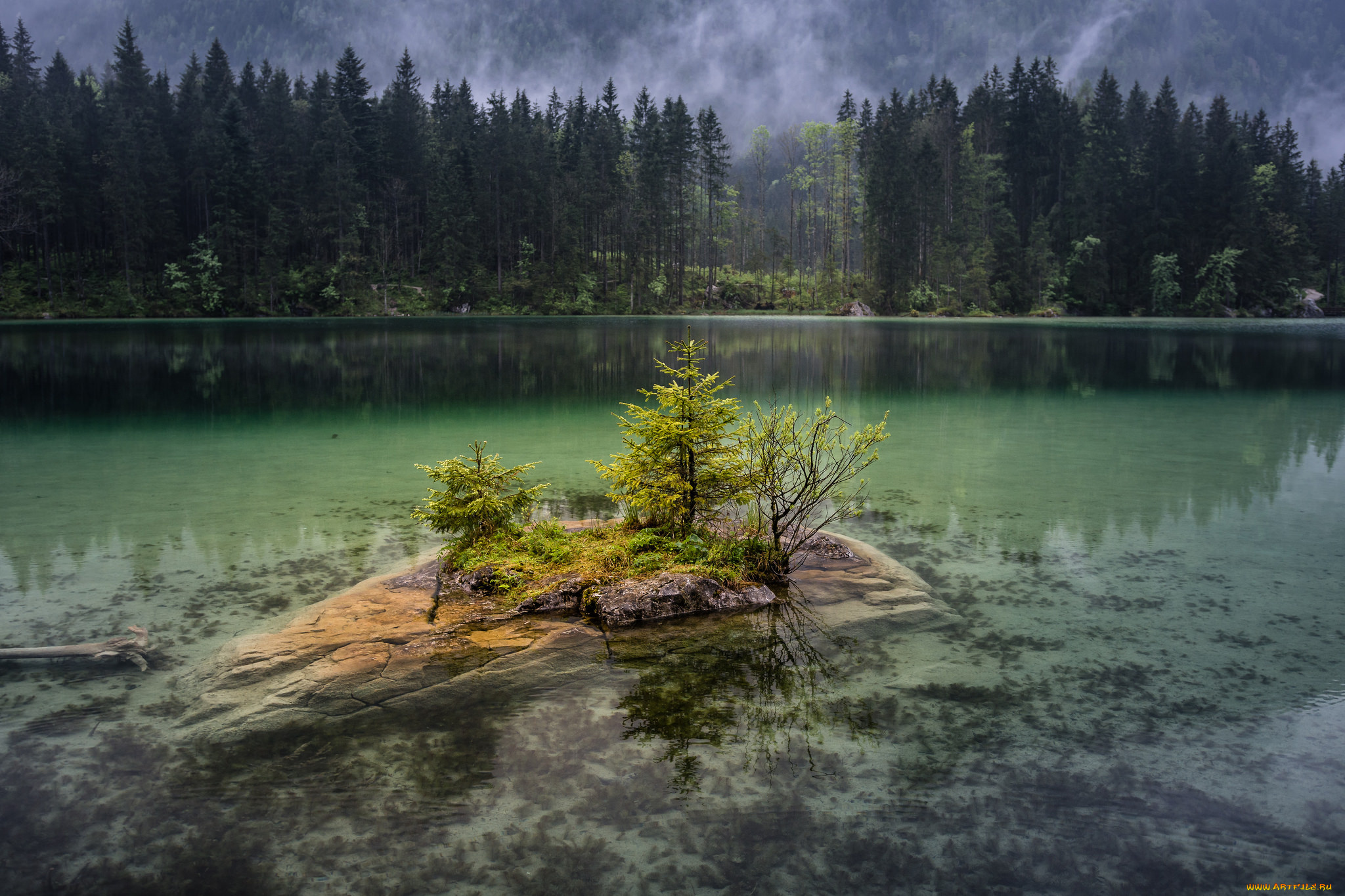 природа, реки, озера, простор