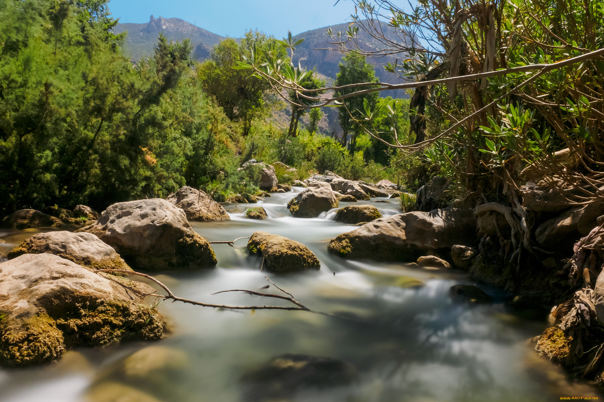 природа, реки, озера, простор