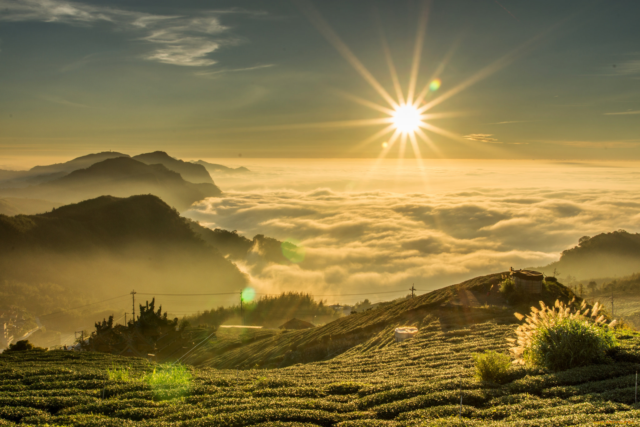 природа, восходы, закаты, солнце