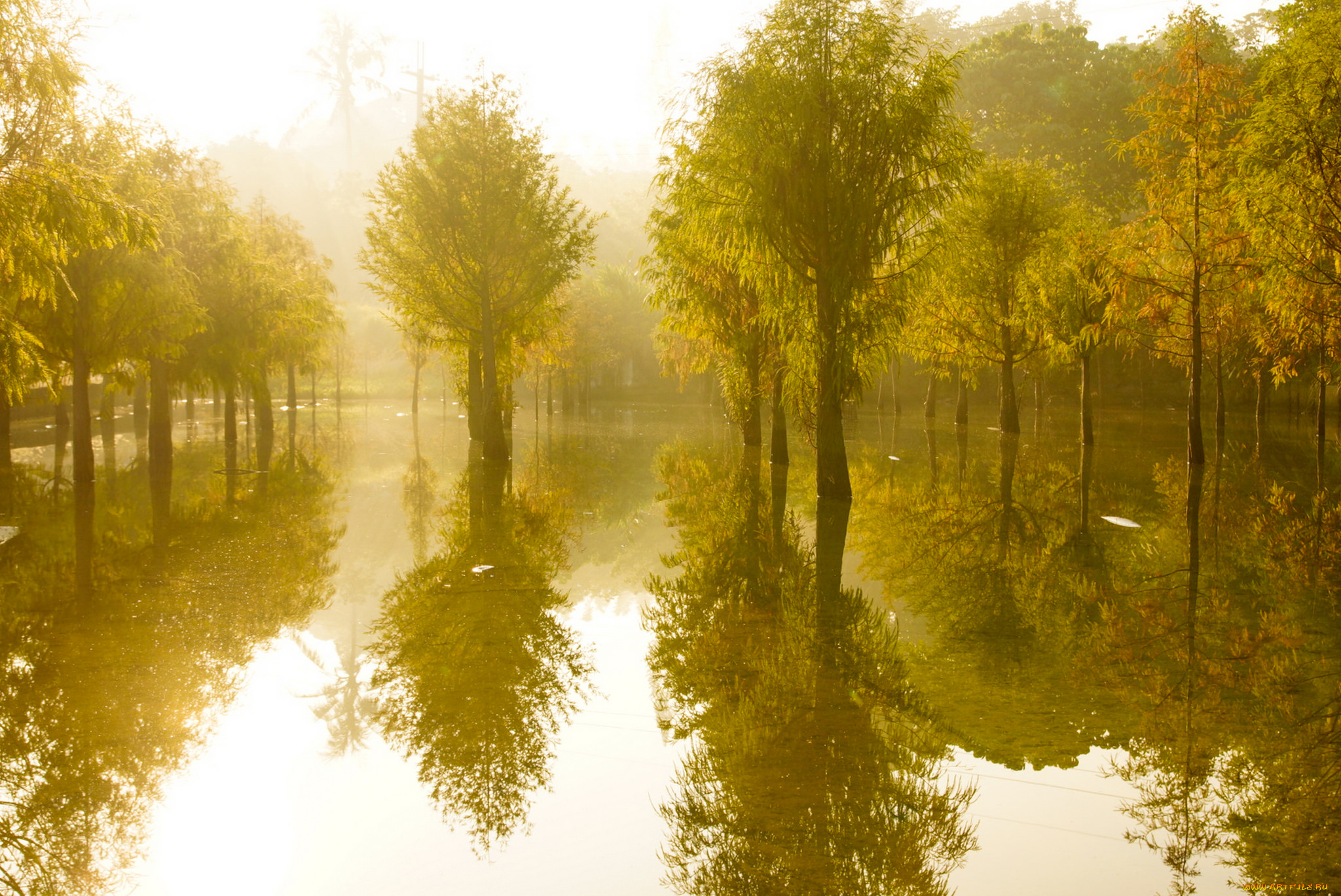 природа, реки, озера, вода