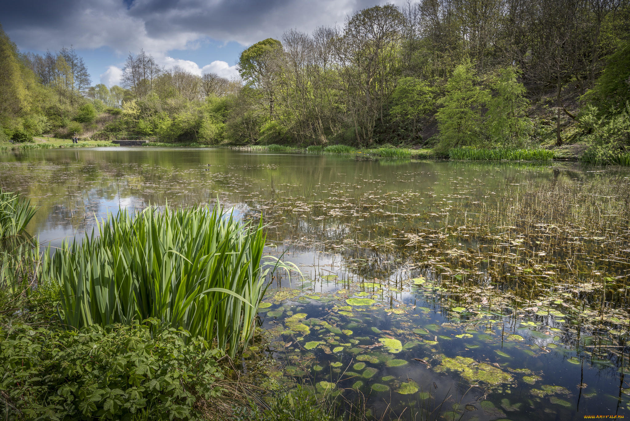 природа, реки, озера, простор