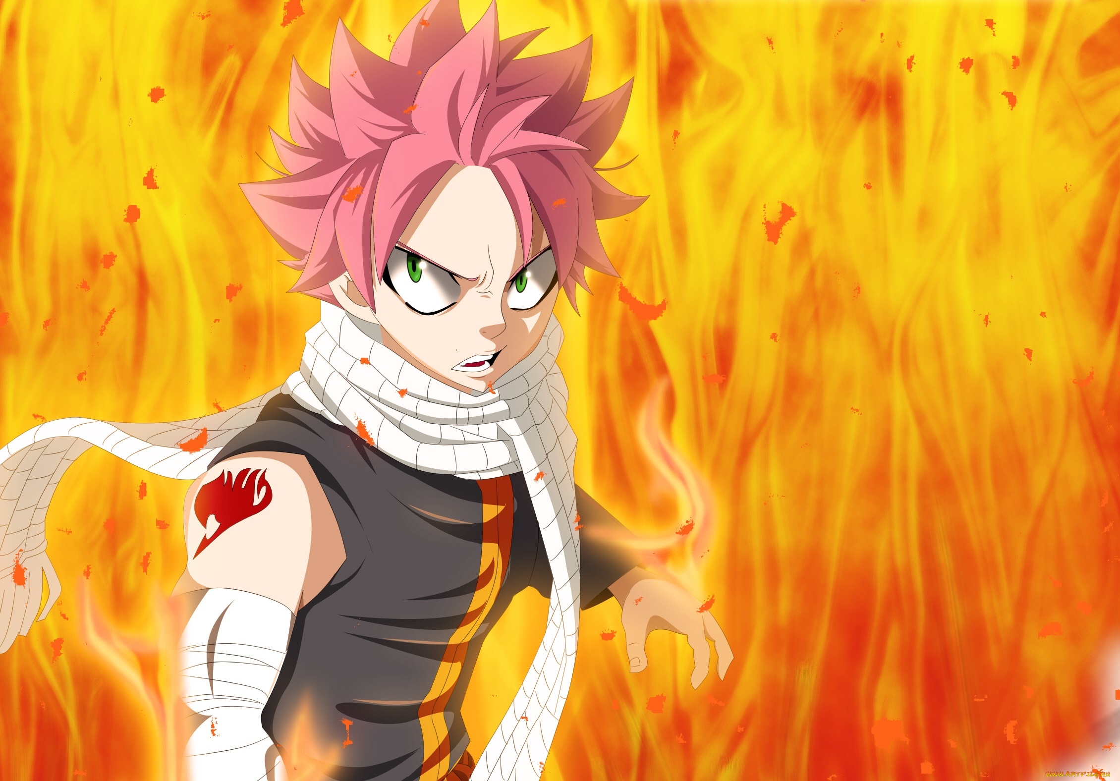 аниме, fairy, tail, хвост, феи