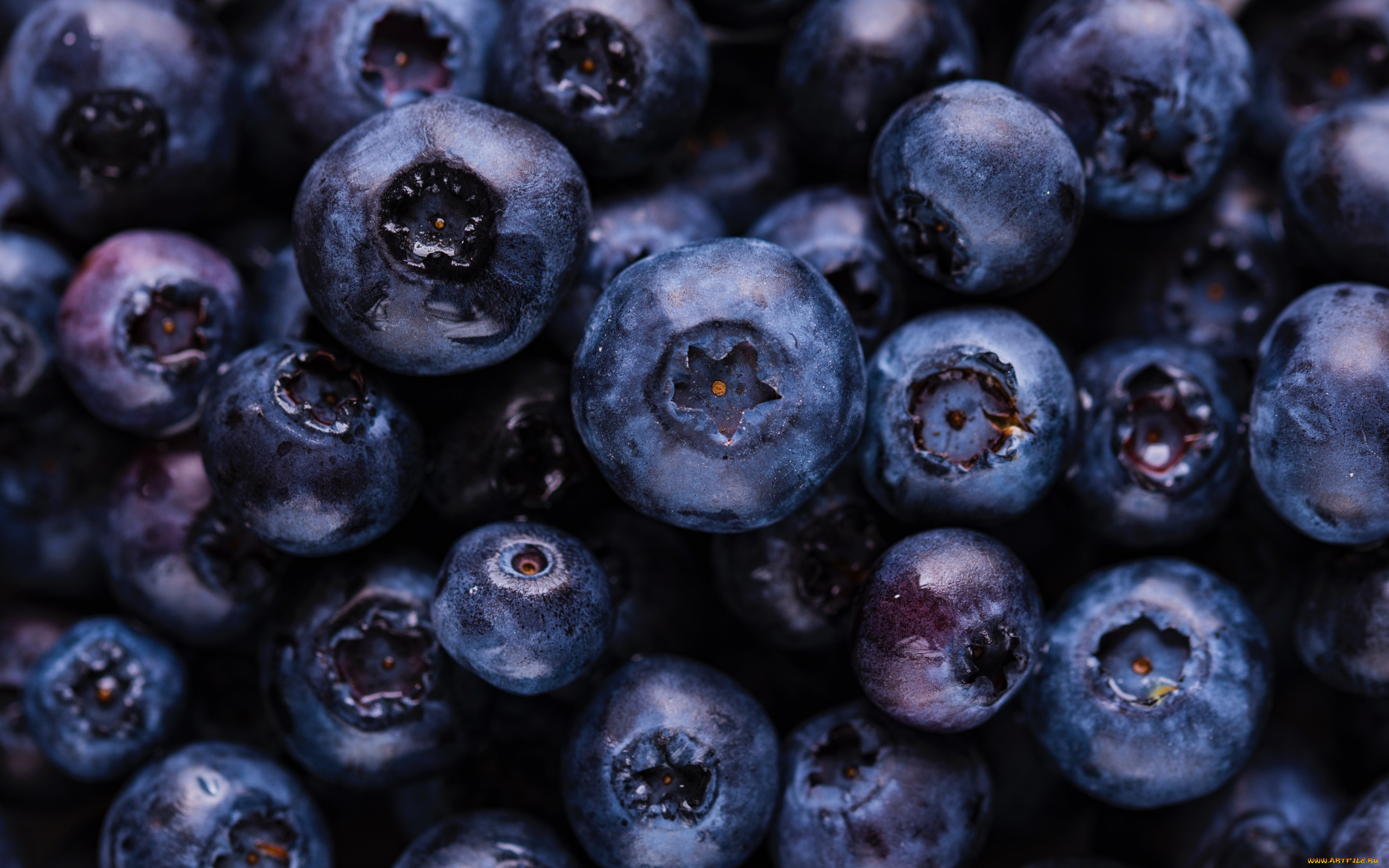 еда, голубика, , черника, много, черника, макро