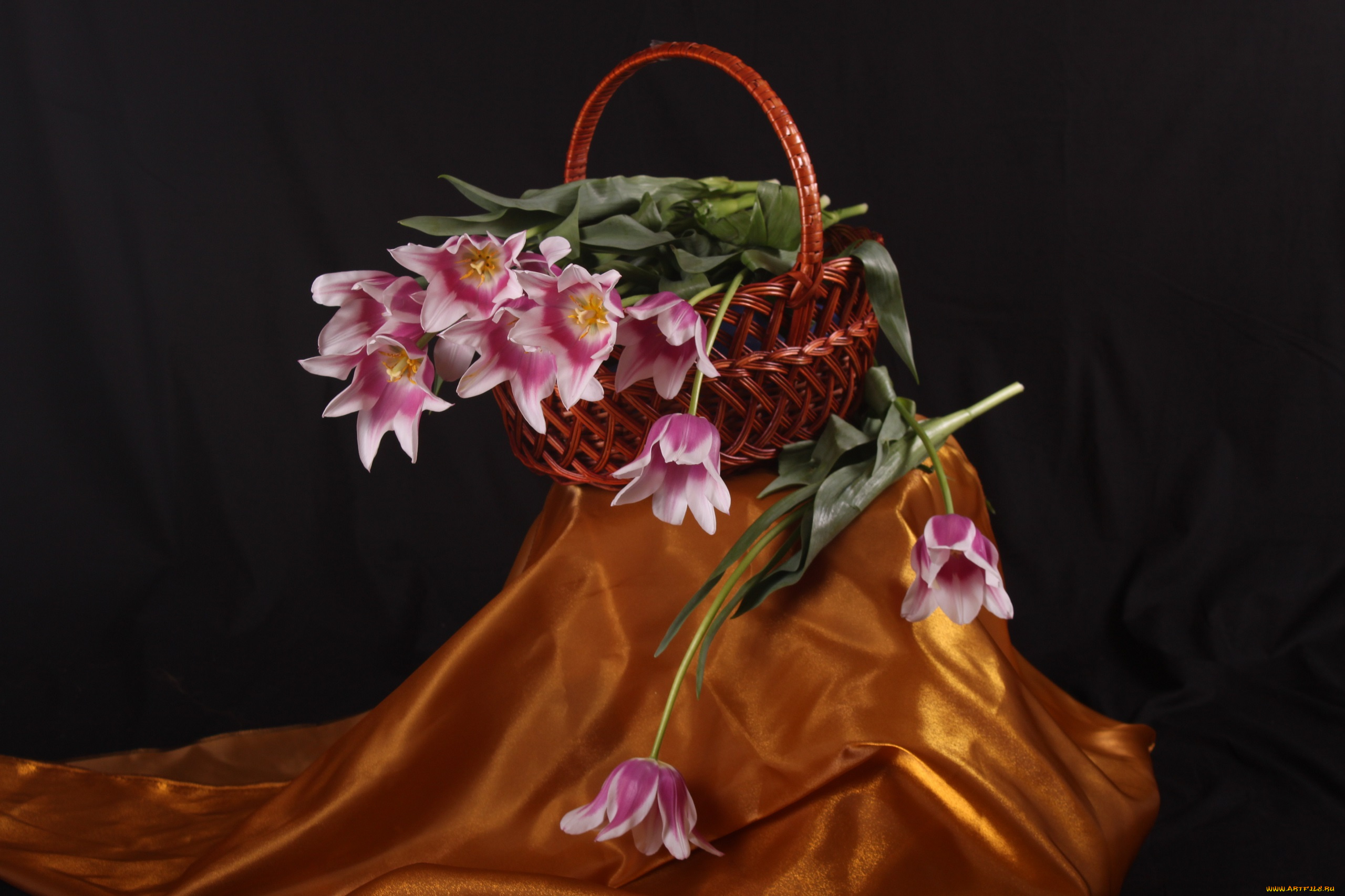 цветы, тюльпаны, весна, золотое, корзина, красота, ночь, чёрное