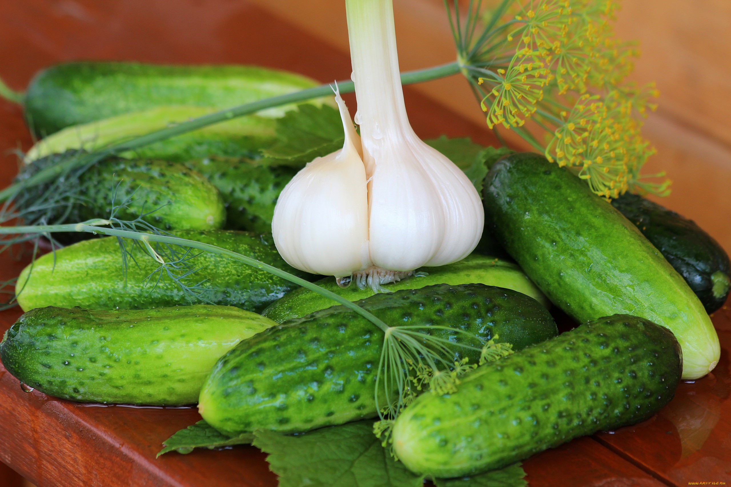 еда, огурцы, лето, дача, вкусно, чеснок, урожай