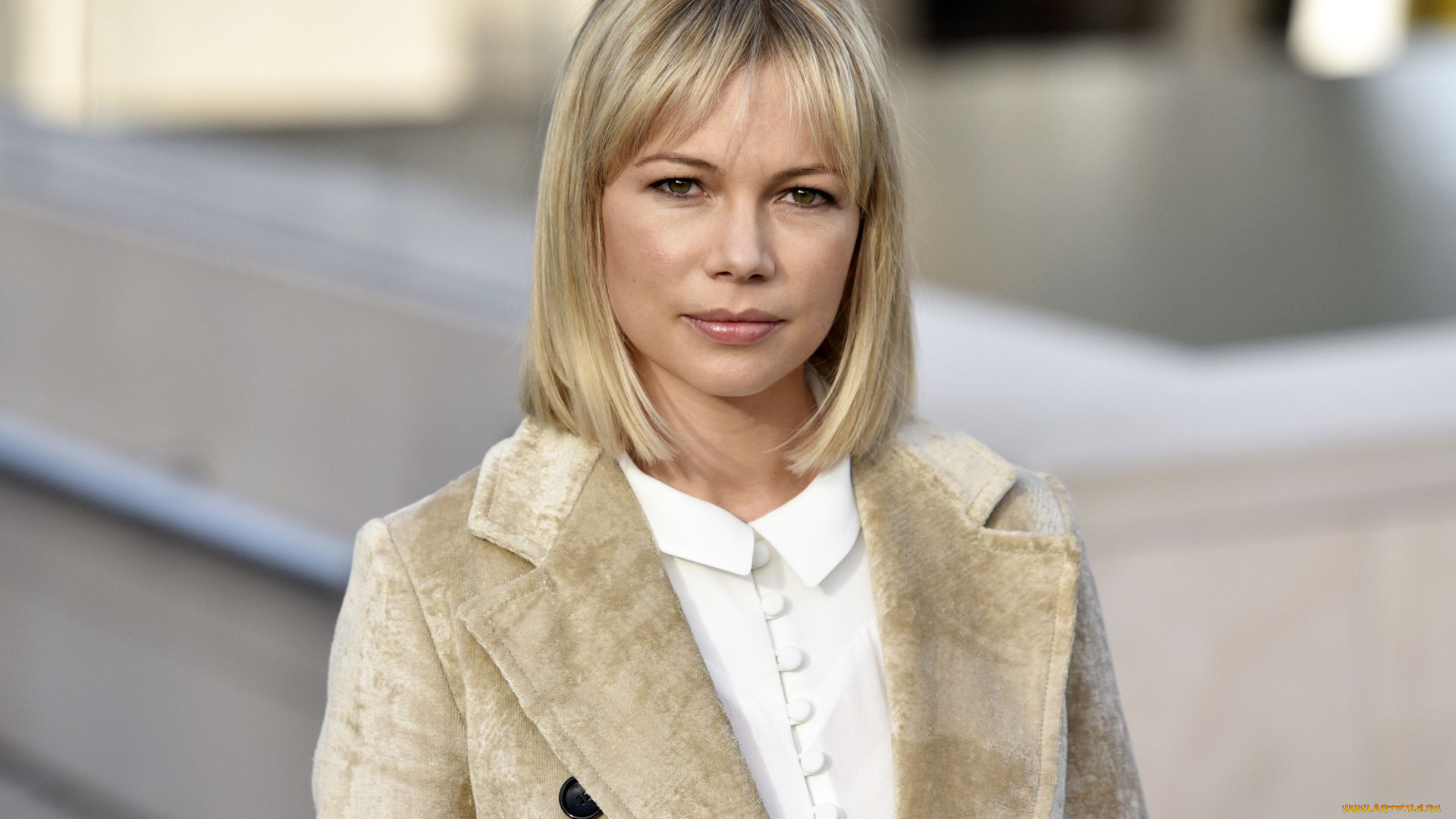 девушки, michelle, williams, блондинка, michelle, williams, жакет