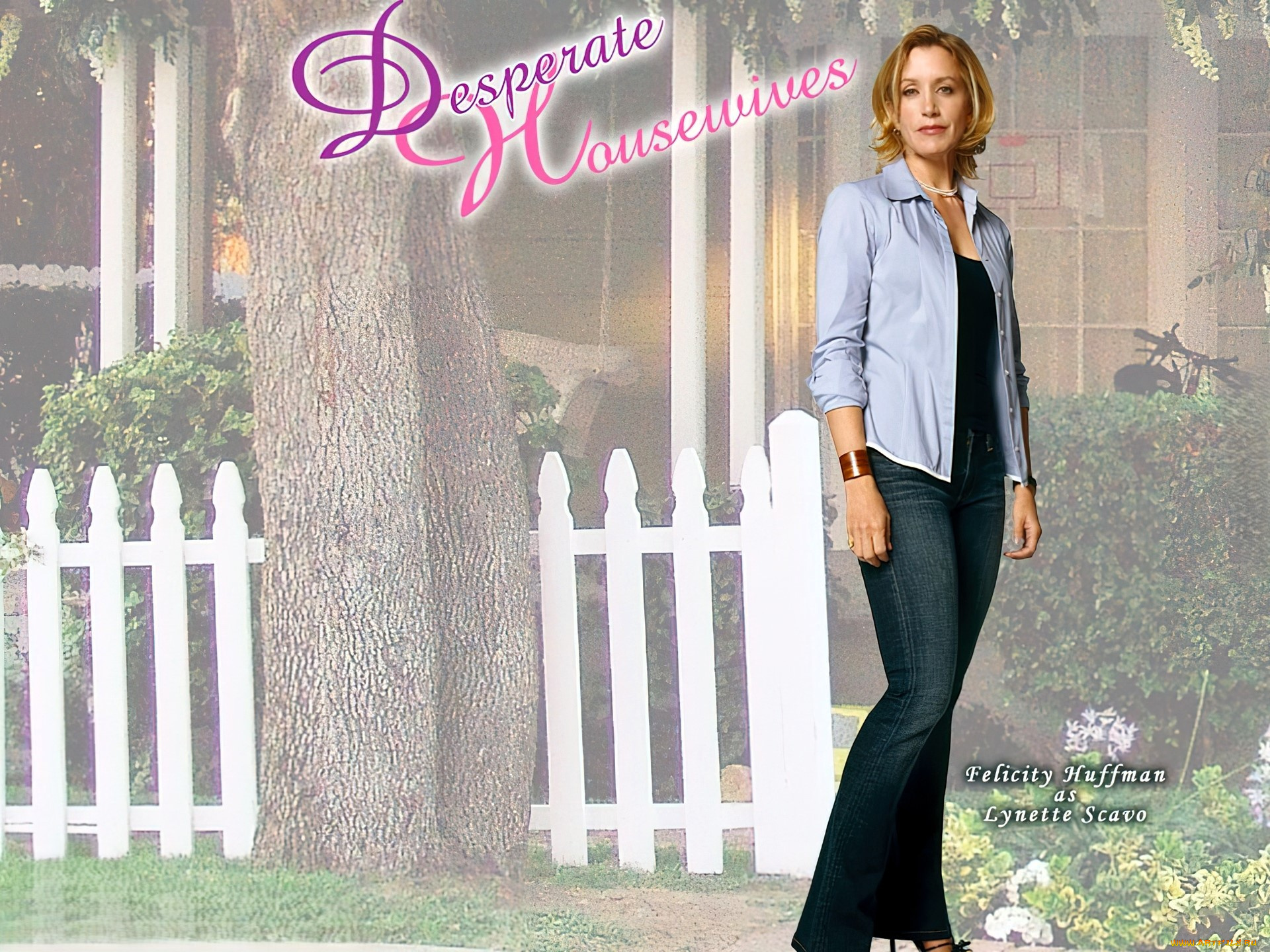 кино, фильмы, desperate, housewives, женщина, рубашка, джинсы, дом, ограда