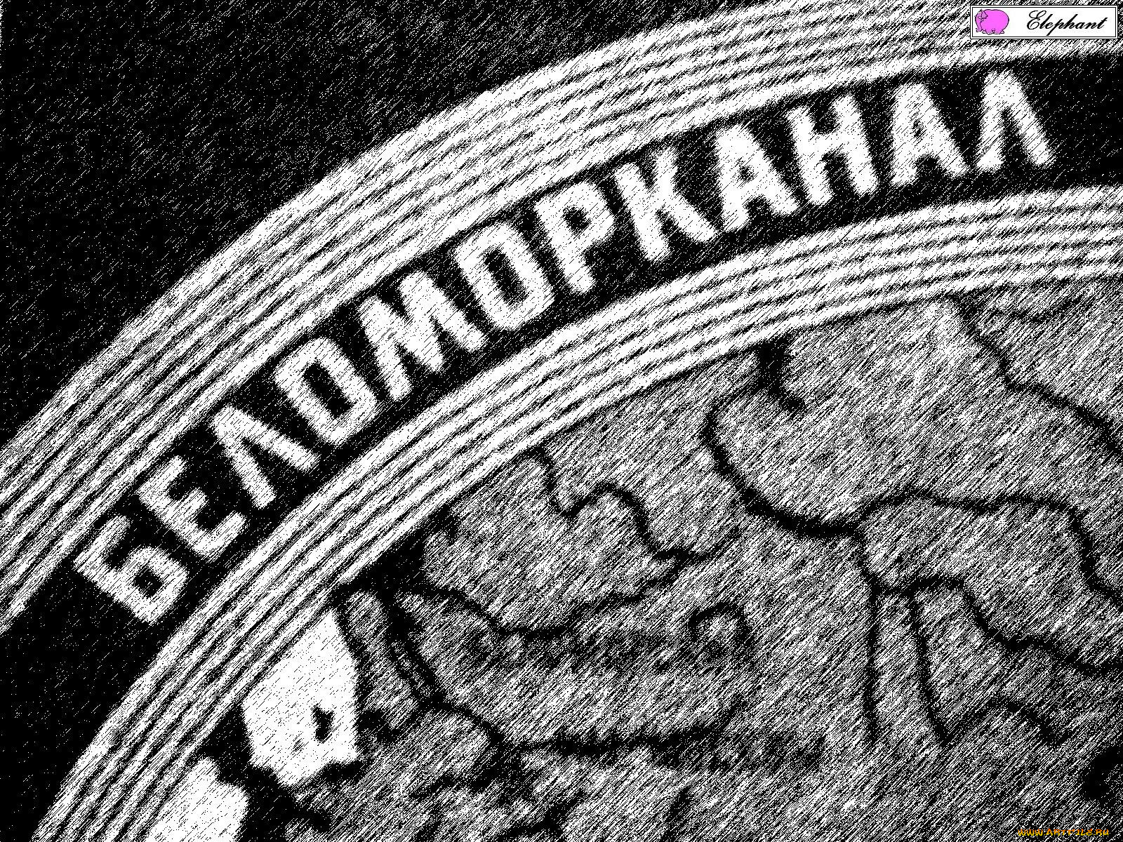 беломорканал, бренды