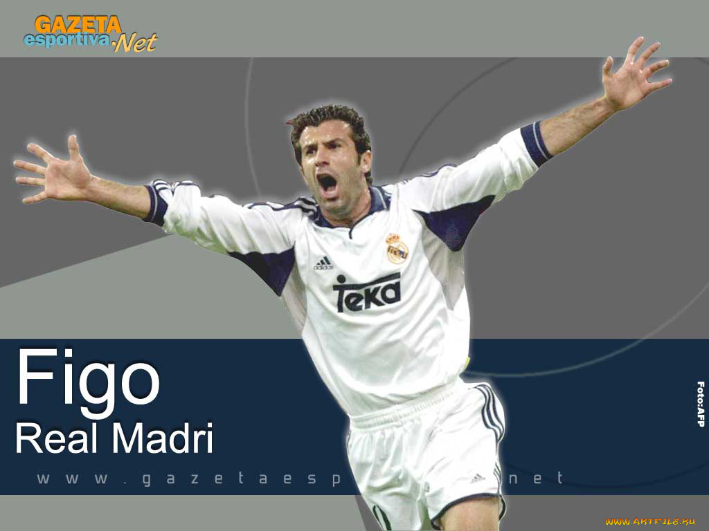 спорт, футбол