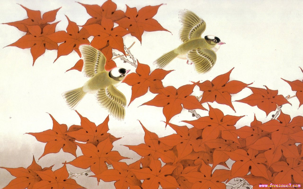 рисованные, животные, птицы